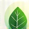 Icône Engagement écologique